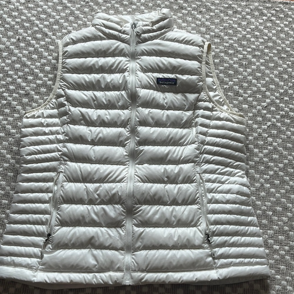 Great condition Patagonia vest